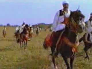 صور Libyan Arabian Horse Racing الأنثروبولوجيا الوصفية